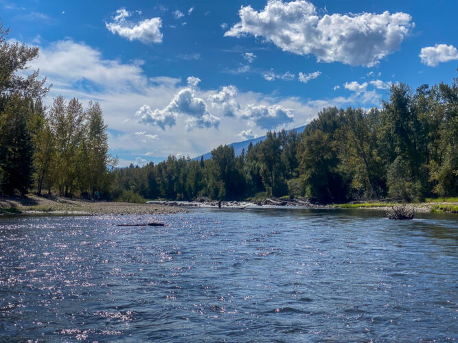 It's a spectacular time of year to be on the river - Montana Fall Fishing