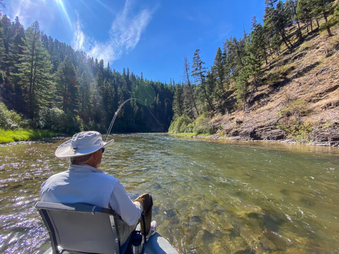 Hooked up in the middle of the canyon - September Montana Fishing report