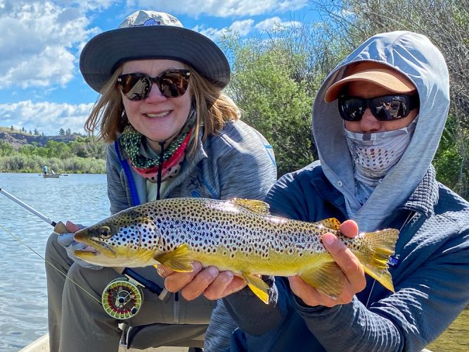 Flawless brown trout for Laura - Missoula Fishing Report 2024