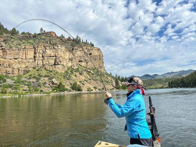 Then Sheila got in on the action and had a banner morning - Missoula Fishing Report 2024