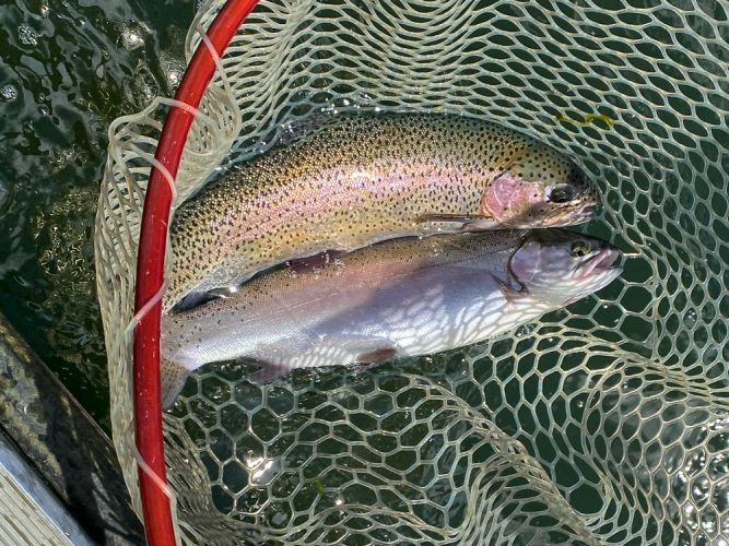 A nice double for Jason and Laura - Missoula Fishing Report 2024