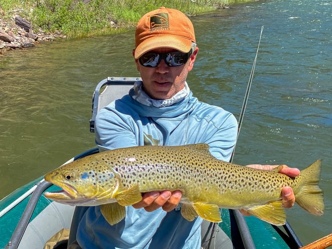 Jim with 22 inches of brown trout on aa dry fly - Missoula Fishing Report 2024