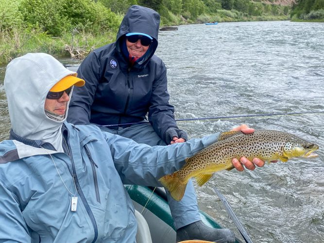 Ron with a couple of big trout on salmonfly dries - Missoula Fishing Report 2024