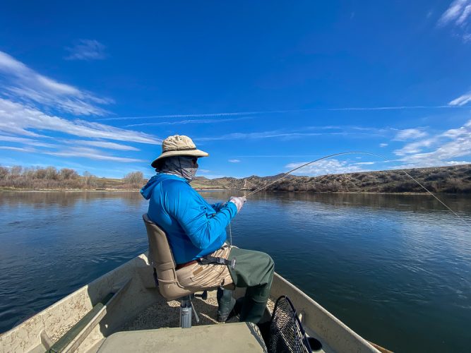 Chris hooked up right out of the gate - Missoula Fly Fishing Guide 2024