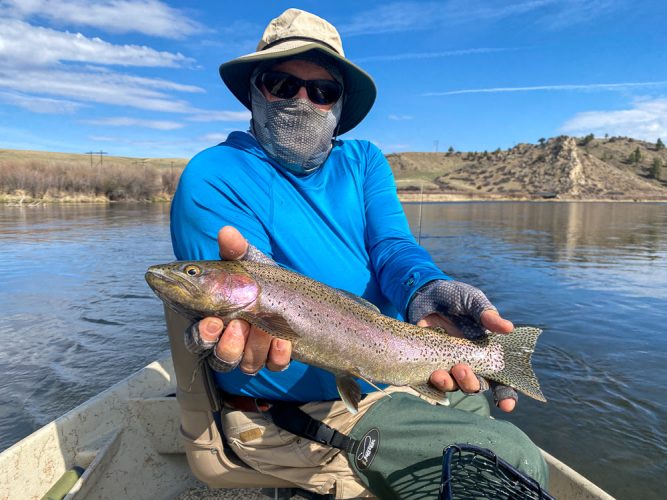 One of many nice rainbows today - Missoula Fly Fishing Guide 2024