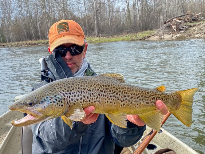 Bob with a 21.5" beast to start the day - Missoula Fly Fishing Guide 2024