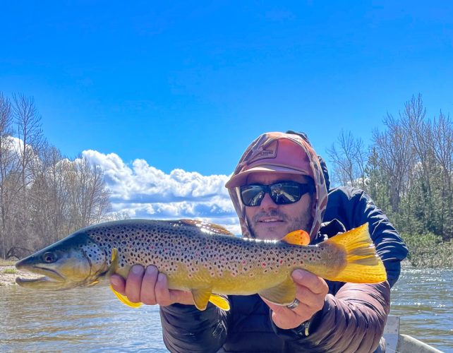 Guides David and Scott continue to shine with some stellar specimens in the boat - Missoula Fly Fishing Guide 2024