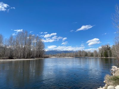 Montana Fly Fishing Guide Report
