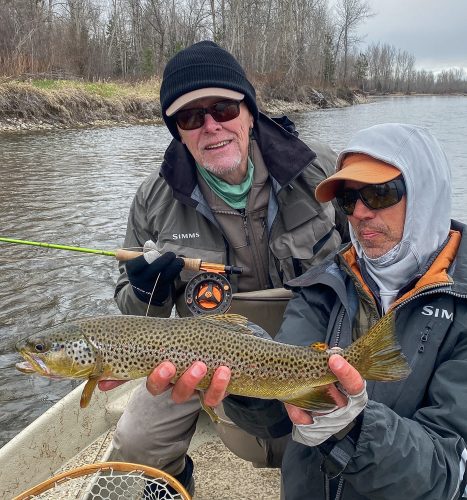 Tailout brown trout for Jim on the dry - Montana Fly Fishing Guide Report