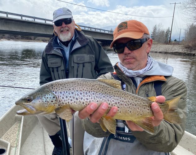 Quality bridge brown trout for Jeff - Montana Fly Fishing Guide Report