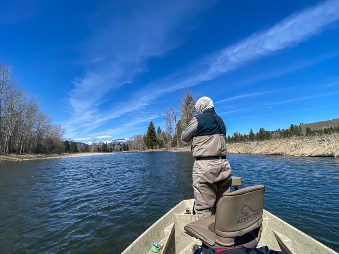 Jim hooked up on the dry - Montana Fly Fishing Guide Report