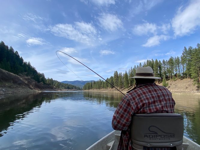 Marcelo connected to another trout in our last patch of shade for the day - Montana Fly Fishing Guide Report