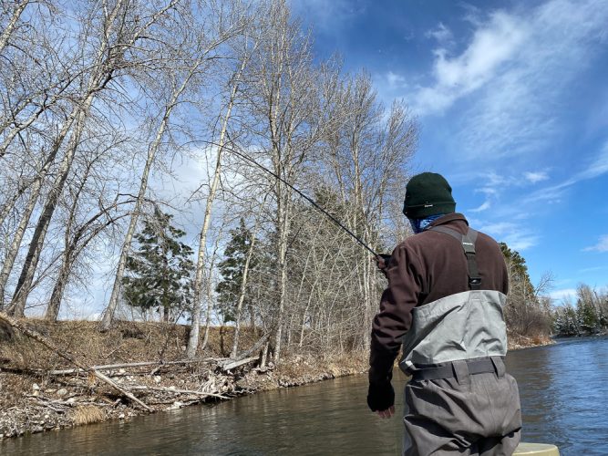 Bruce hooked up on the first bank - Catching the Big One's in Montana