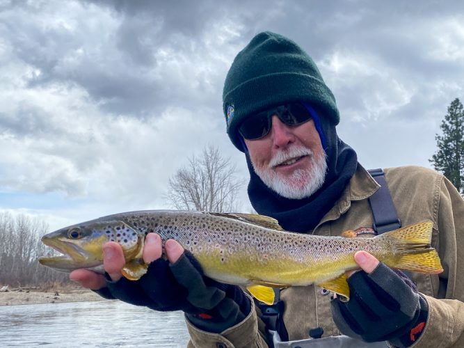 Bruce with a nice brown in the afternoon - Catching the Big One's in Montana