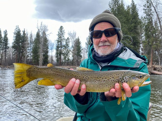 Alan with a battle scarred brown trout - Catching the Big One's in Montana