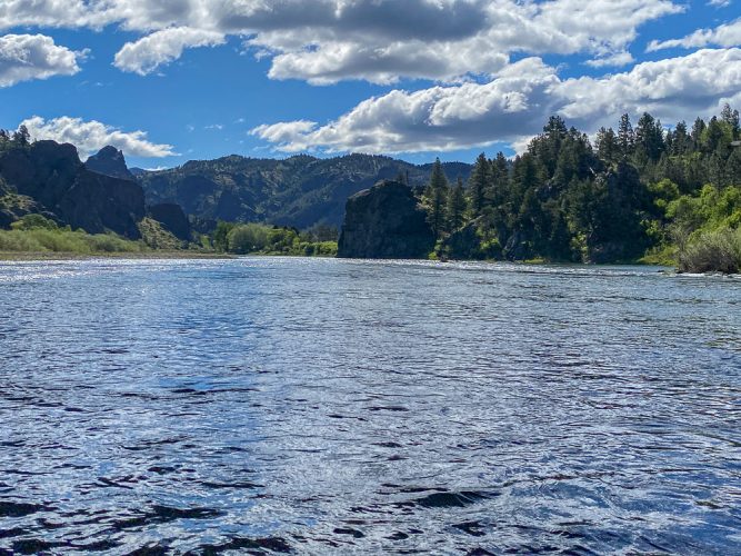 Stunning day in the canyon - Fly Fishing the Missouri River 2024