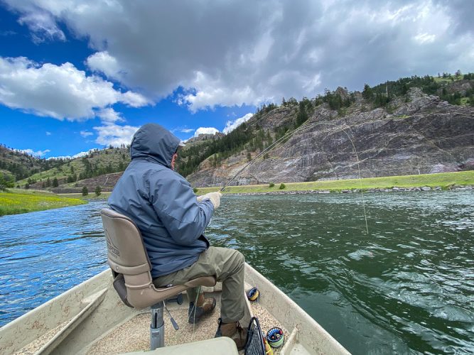 Willy hooked up to a nice brown trout - Fly Fishing the Missouri River 2024