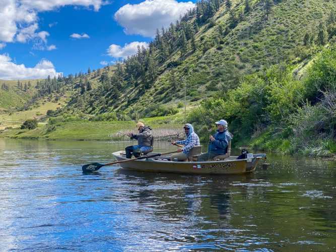 Willy hooked up with guide Tom - Fly Fishing the Missouri River 2024