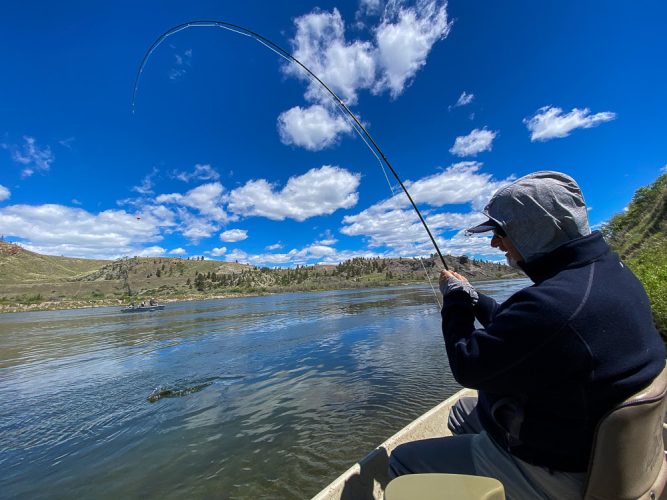 Al fighting one to hand - Fly Fishing the Missouri River 2024