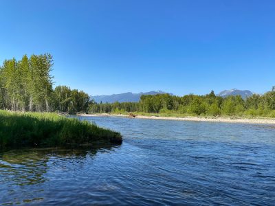 Bitterroot Trout Fishing Guide