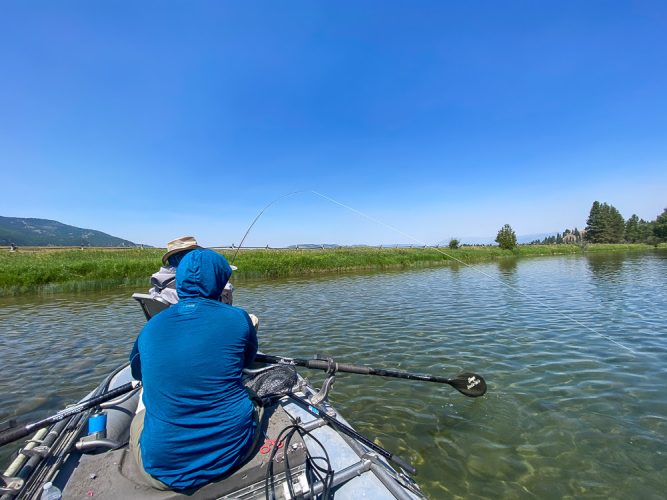 Chris was hooked up on dries most of the day - Montana Trout Fishing July Report