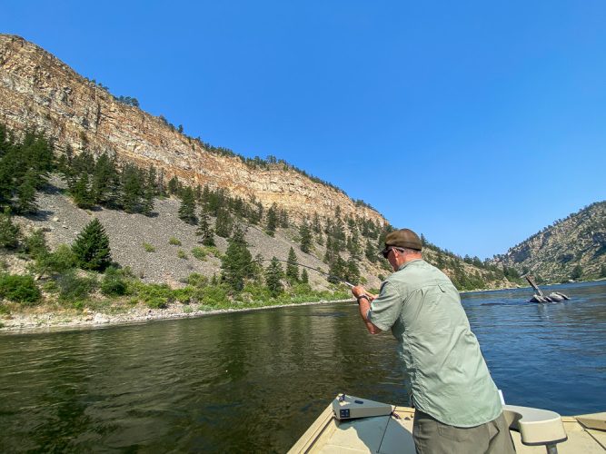 Doug bringing one close on the upper river - Best Montana Fishing