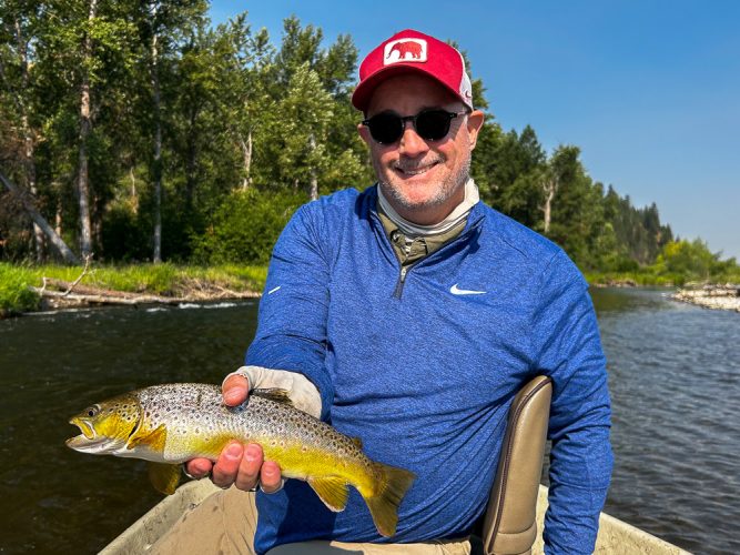 Brown trout that smashed the dry fly - Montana Trout Fishing July Report