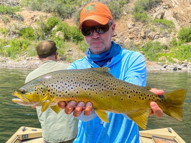 Jim came through again with another big, beautiful brown trout - Best Montana Fishing