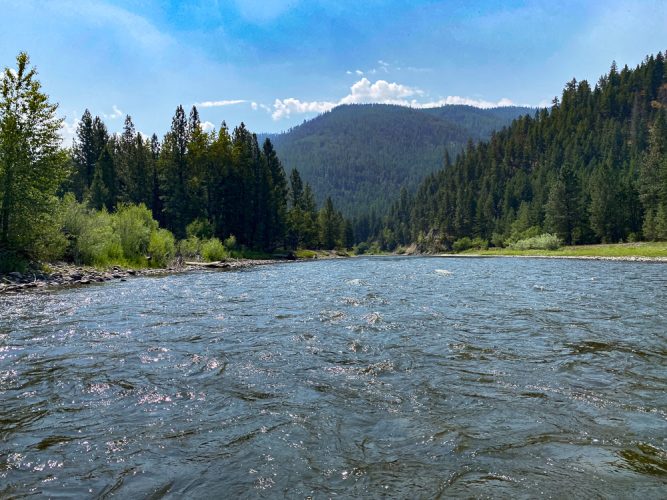 Pretty morning on the upper Clark - Montana Trout Fishing July Report