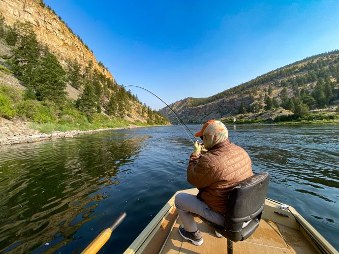 Minutes later bent again up by the dam - Best Montana Fishing