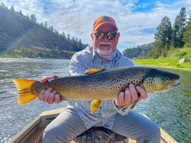 Bob with a unicorn, a measured 24.5" brown trout - Best Montana Fishing