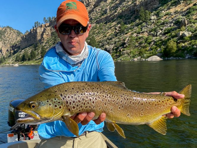 Brown trout like this are what dreams are made of - Best Montana Fishing