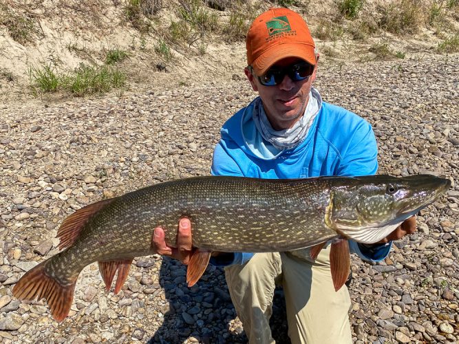 Sight fishing to these critters is one of my favorite things - Bitterroot Trout Fishing Guide