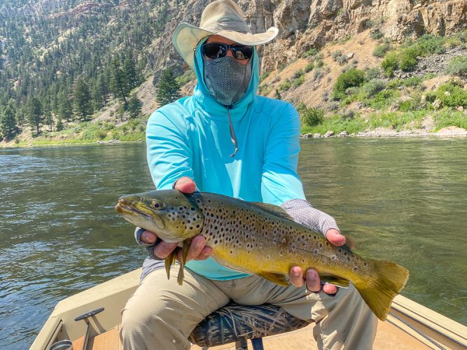 Chris with a bruiser brown in the afternoon - Montana Trout Fishing July Report