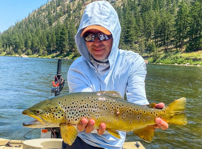 Another look at that same brown - Montana Trout Fishing July Report