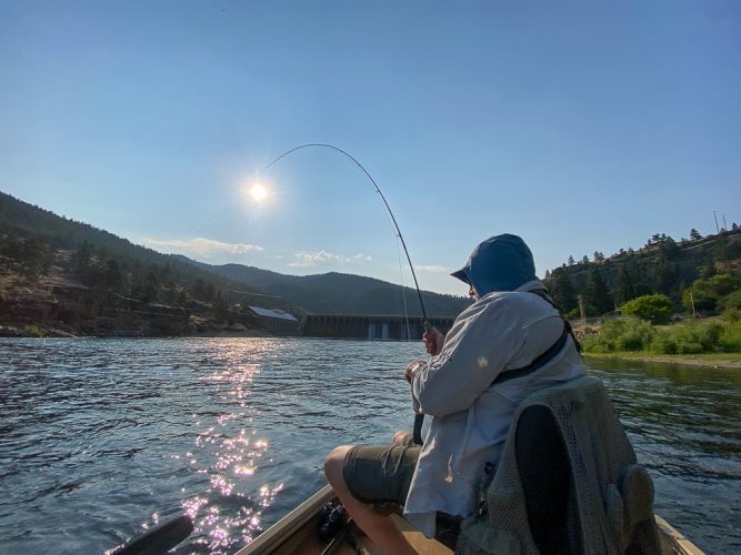 Jim hooked up right away, and about to see his backing for the first time today - Best Montana Fishing