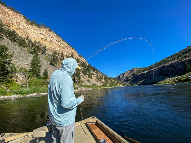 We had the upper river to ourselves this morning - Fishing the Land of the Giants