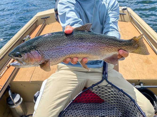 Jim with another beauty to close out the trip - Fishing the Land of the Giants