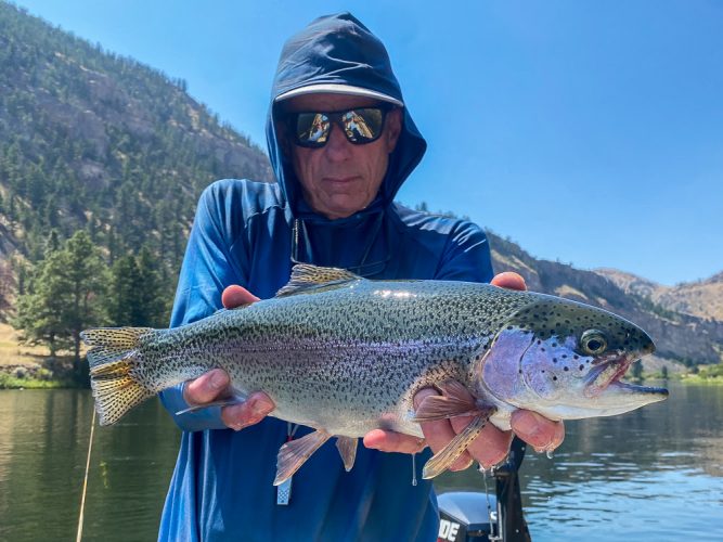 Another nice dry fly eater for Dan - Fishing the Land of the Giants