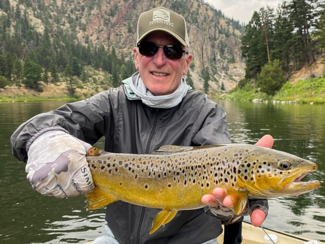 A stunning brown trout in the afternoon - August Fishing