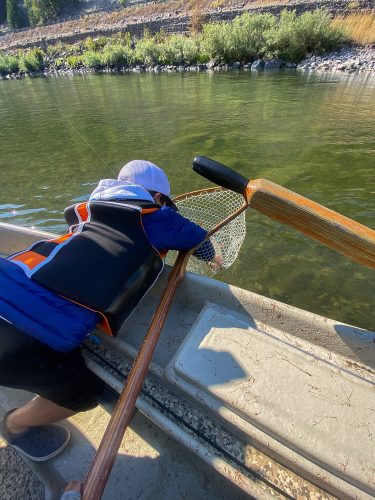 Avey letting a rainbow out of the net - August Fishing