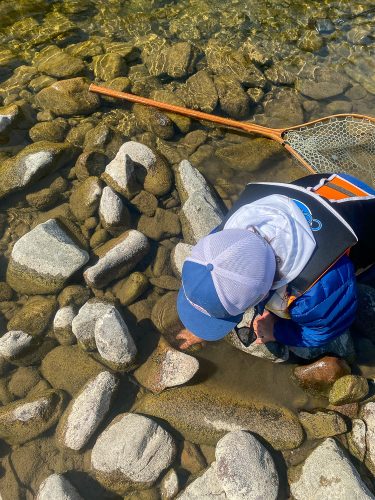 Hunting crayfish in the rocks was a highlight of the day - August Fishing