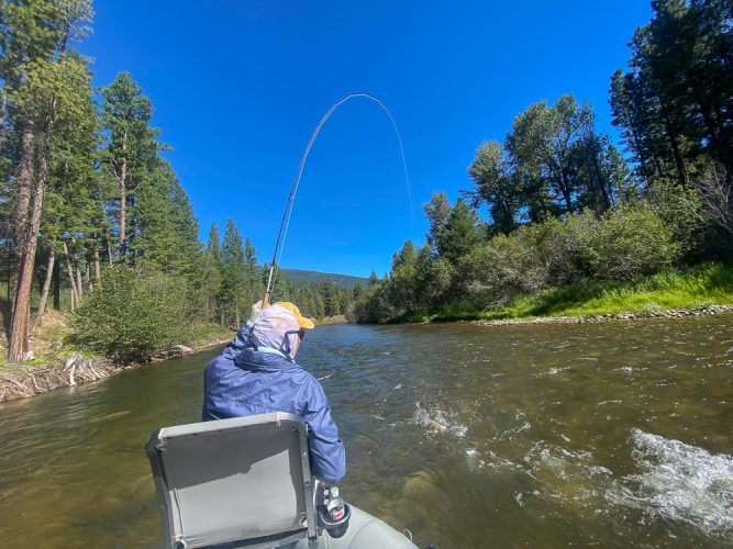 Jim tight to a nice fish - Montana Fishing Guide Report