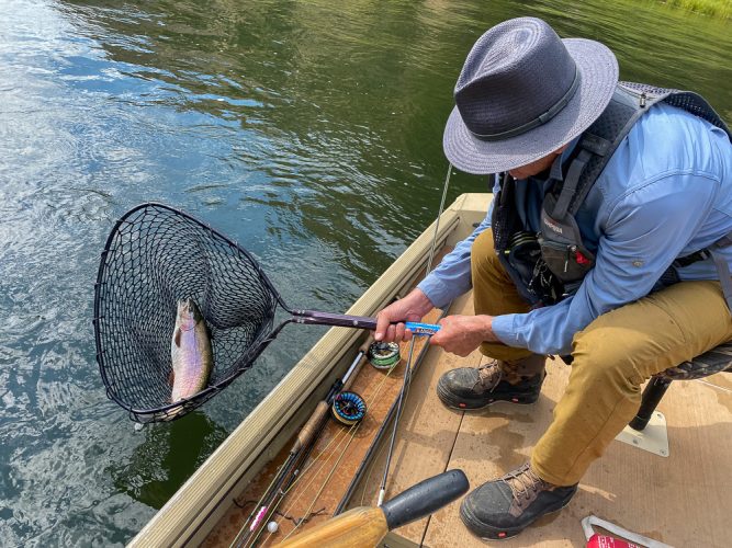 Jerry had a hard time holding the net with this fat bow - Montana Fishing Guide Report