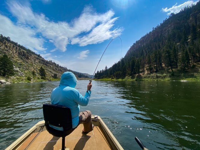 Mark with a bent rod in the afternoon - Montana Fishing Guide Report