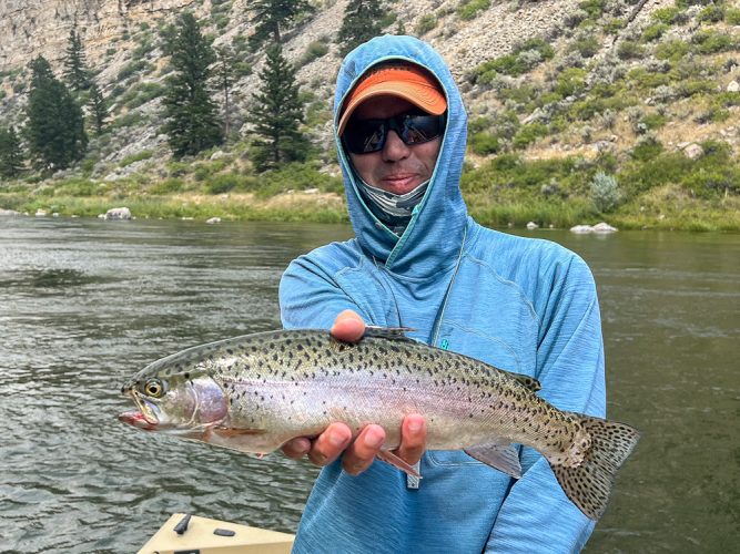 Big spots on this rainbow - Montana Fishing Guide Report