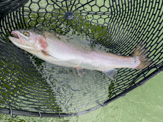 Some nice sized fish out on the lake to finish the day - Montana Fishing Guide Report