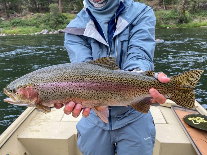 Beefy 22" bow to finish the day - Fishing the Land of the Giants