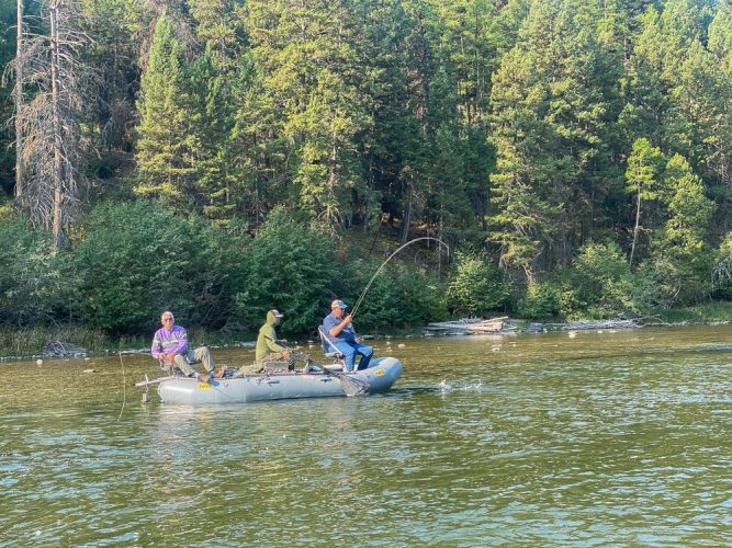 Jack hooked up on his first day of fly fishing - Fall Fishing the Land of the Giants