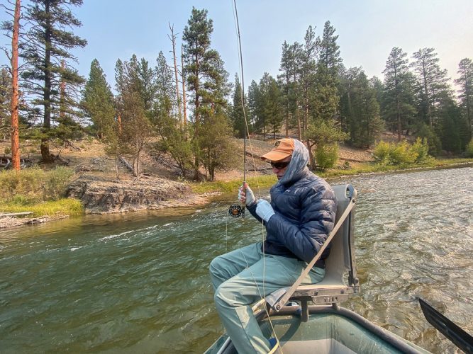 Bill bringing one to the net - Fall Fishing the Land of the Giants